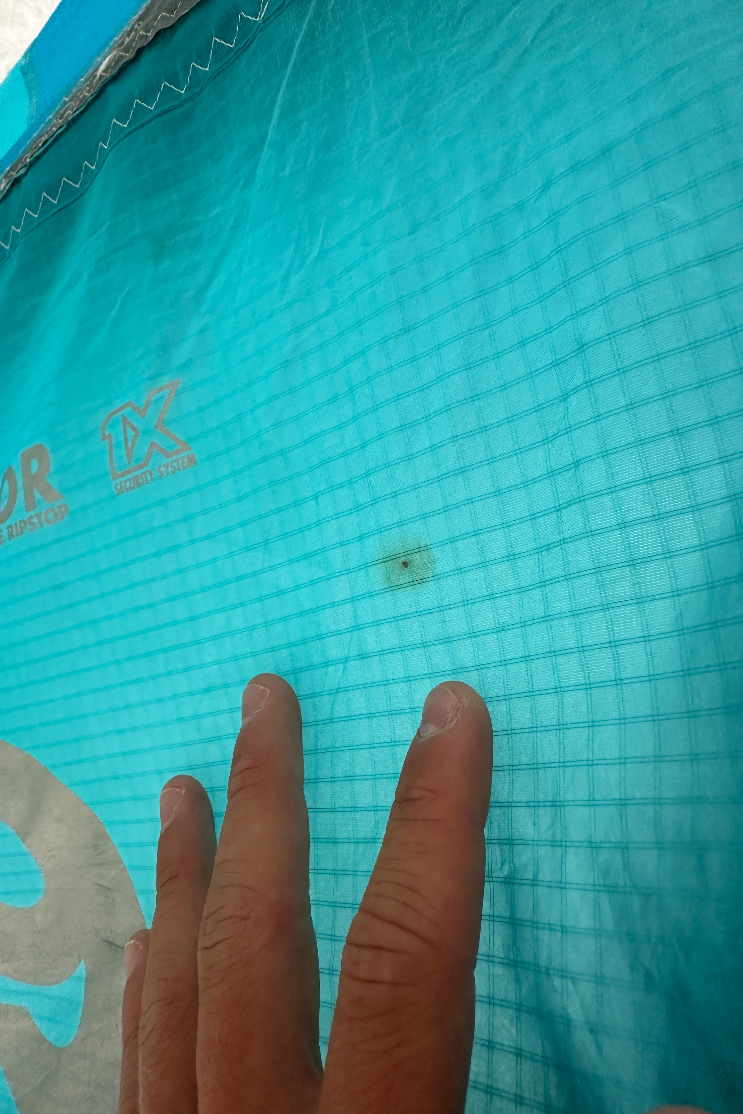 Cabrinha-Switchblade 2019 Kite (2nd)